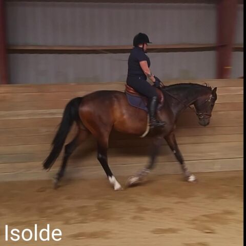 Billede