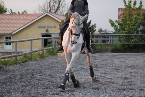 Billede