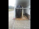 Billede