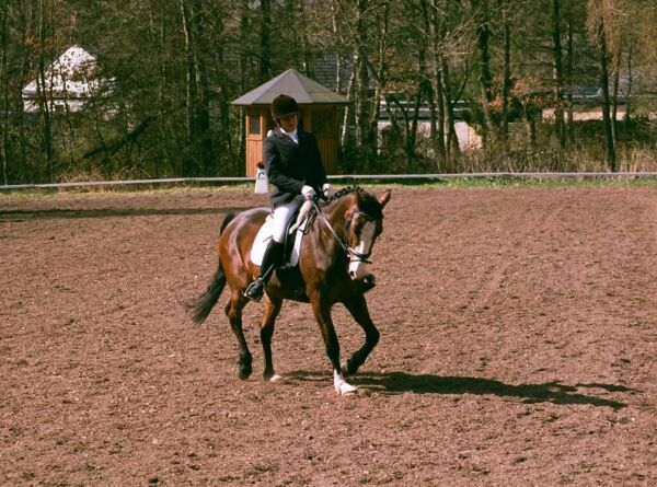 Billede
