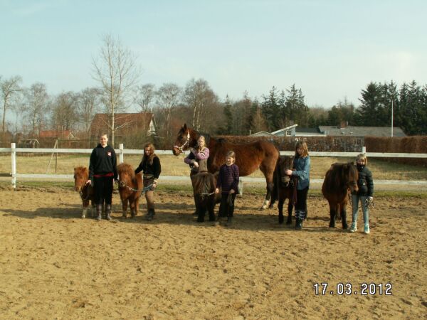 Billede