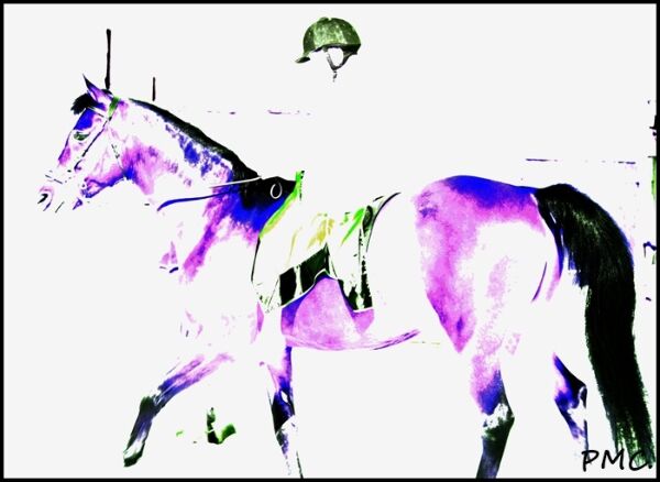 Billede