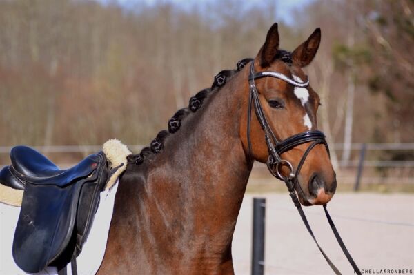 Billede