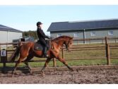 Billede