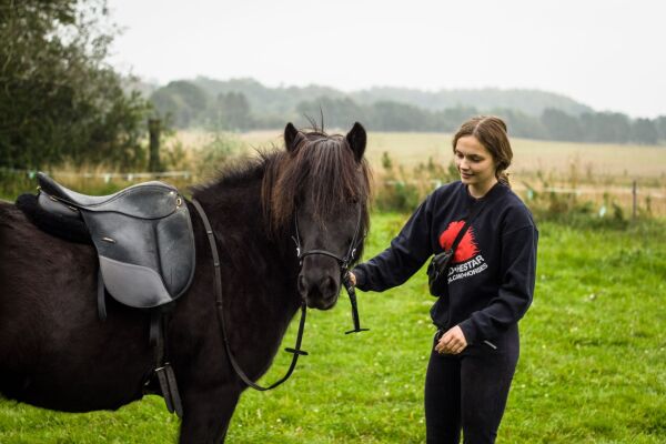 Billede