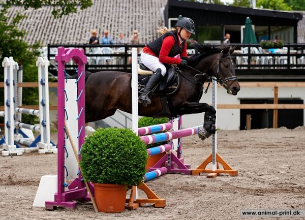 Billede