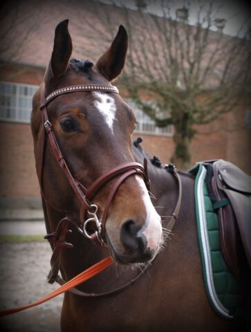 Billede