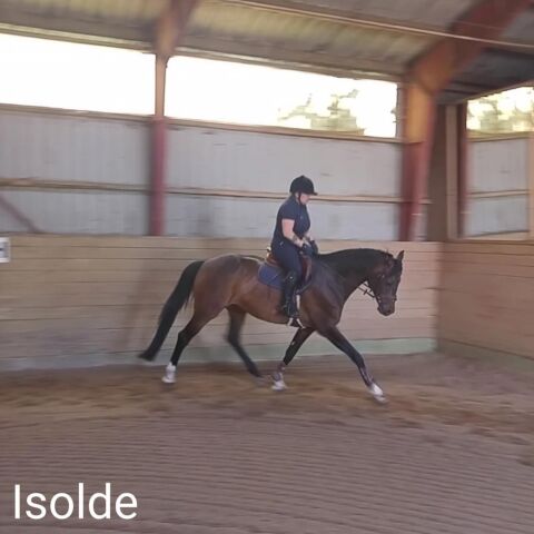 Billede