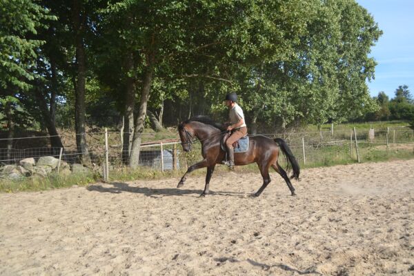Billede