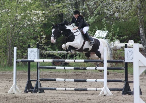 Billede