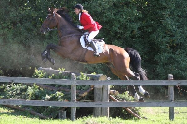 Billede