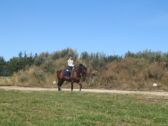 Billede