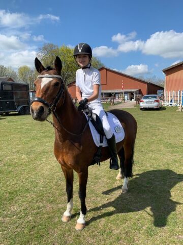 Billede