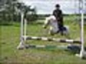 Billede