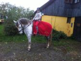 Billede
