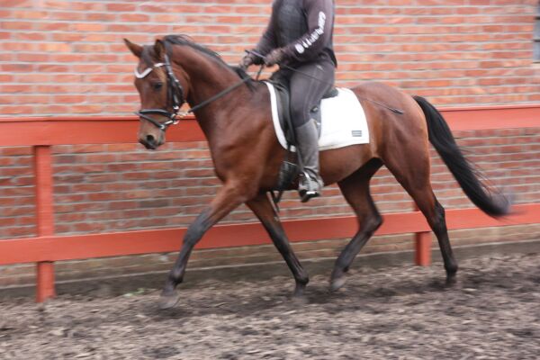 Billede