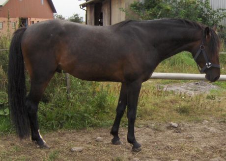 Billede