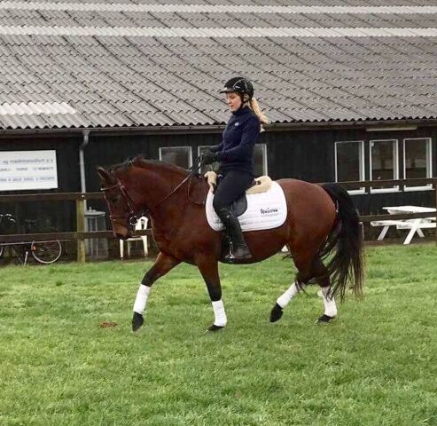Billede
