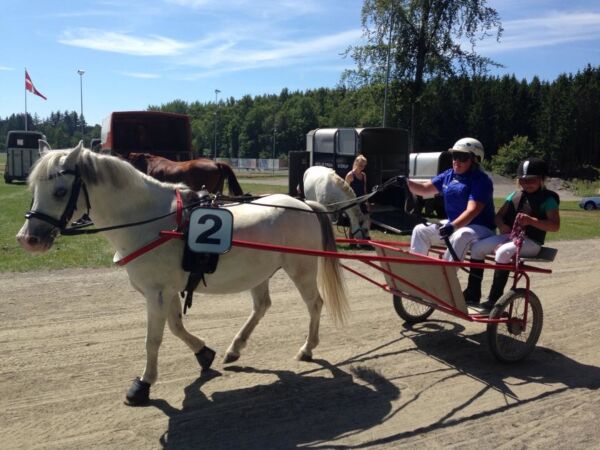 Billede