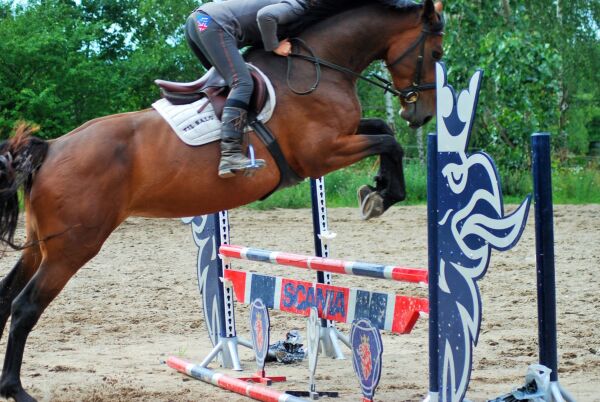 Billede