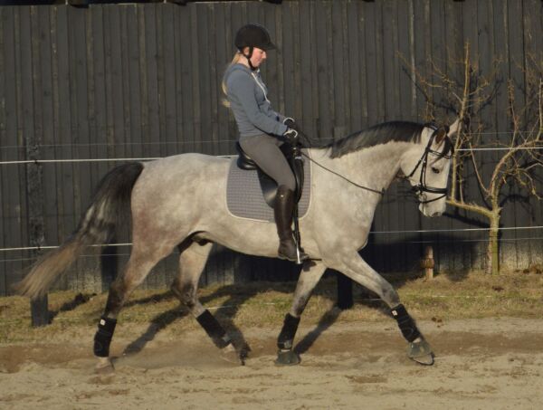 Billede