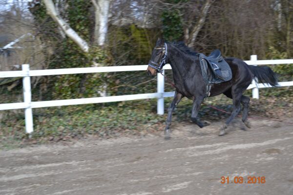 Billede