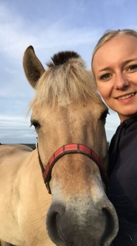 Billede