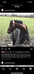 Billede
