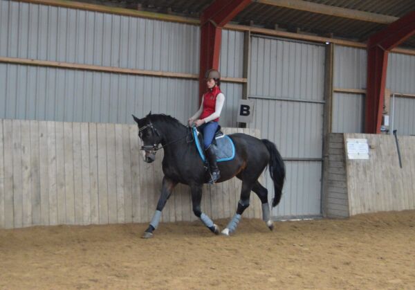 Billede