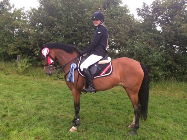 Billede