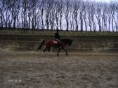 Billede