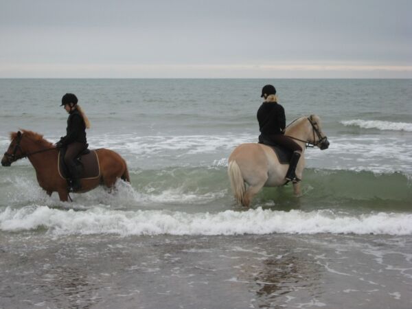 Billede