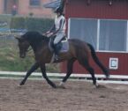 Billede