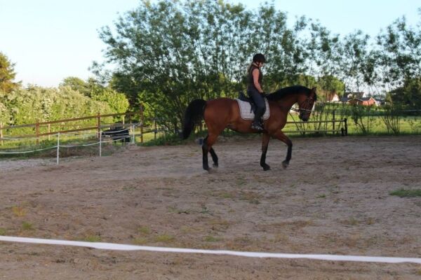 Billede
