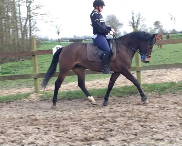 Billede