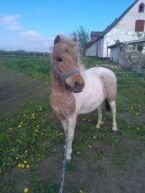 Billede