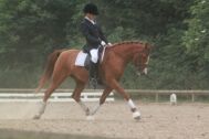 Billede