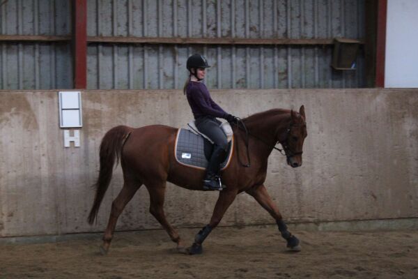 Billede
