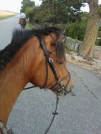 Billede