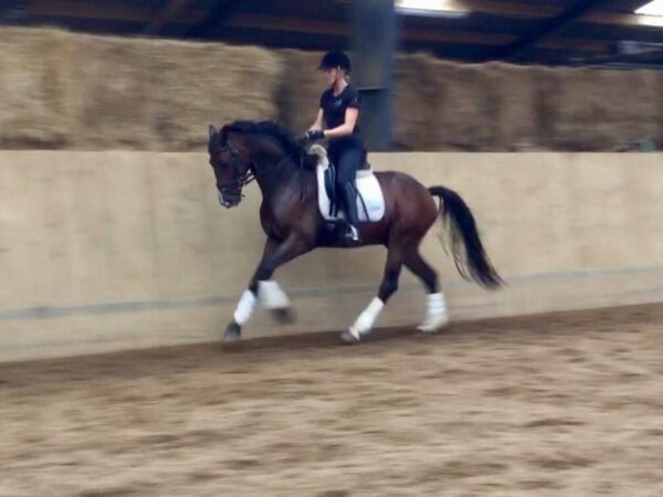 Billede