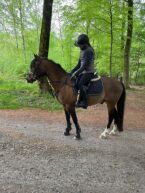 Billede