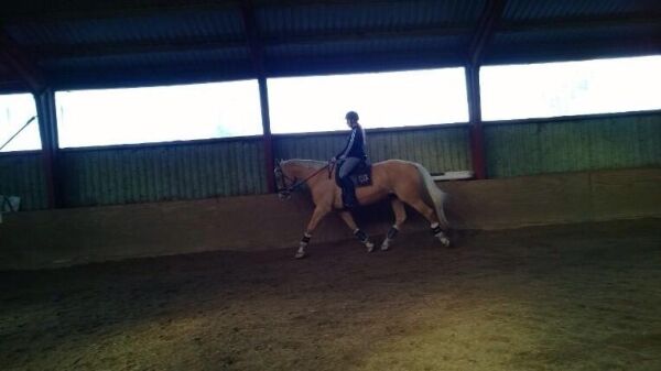 Billede