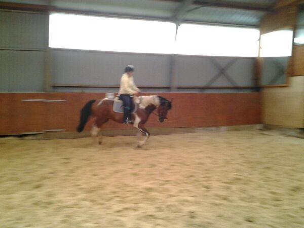 Billede