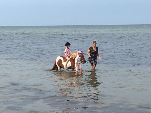 Billede
