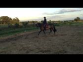 Billede