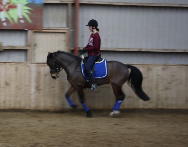 Billede