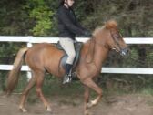 Billede