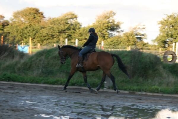 Billede