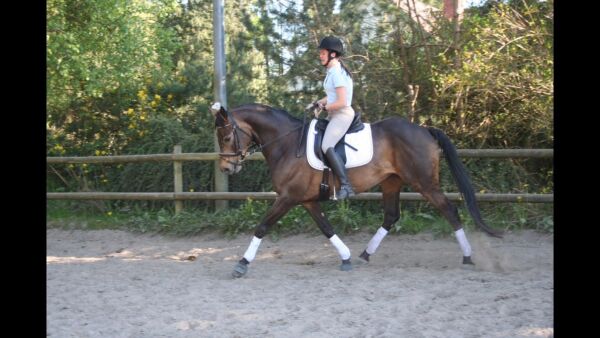 Billede