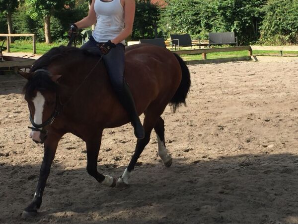 Billede